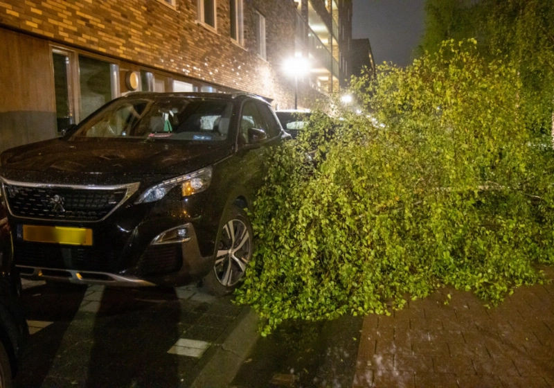 autoramtboon (6).jpg